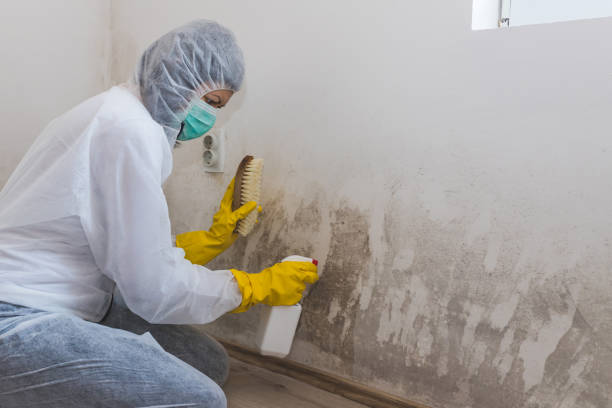 Crawl Space Mold Removal in Bushyhead, OK