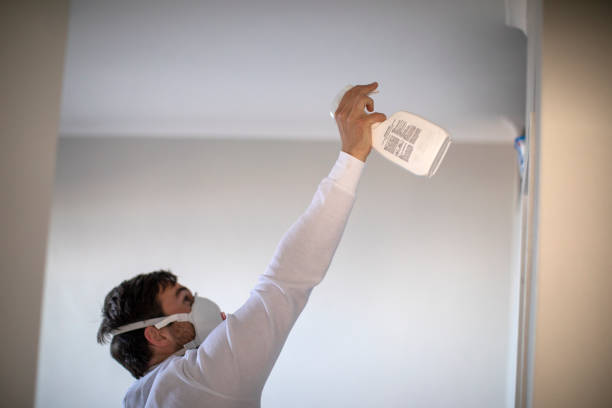Best Mold Testing  in Bushyhead, OK