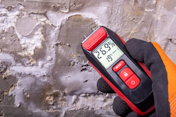 Trusted Bushyhead, OK Mold Removal Experts