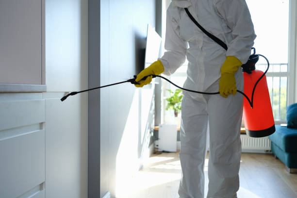Best Professional Mold Removal  in Bushyhead, OK