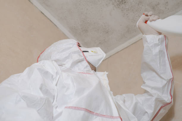 Best Certified Mold Removal  in Bushyhead, OK