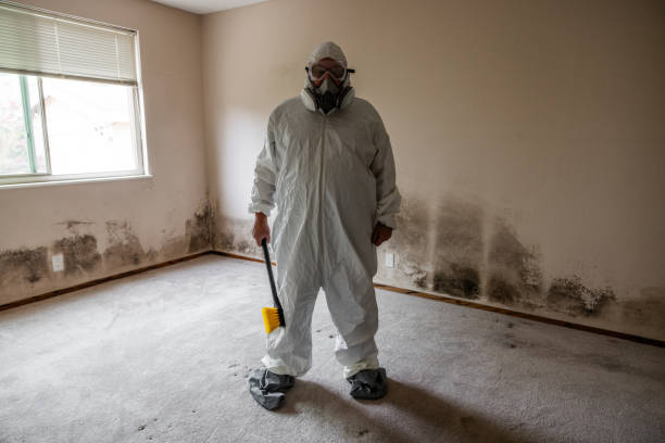 Best Commercial Mold Removal  in Bushyhead, OK