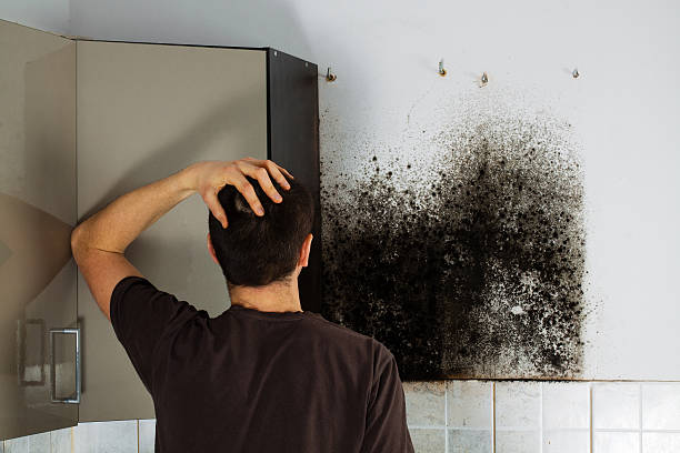 Best Local Mold Removal Service  in Bushyhead, OK